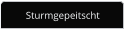 Sturmgepeitscht